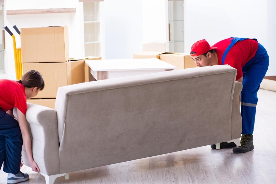 furniture-mover-2