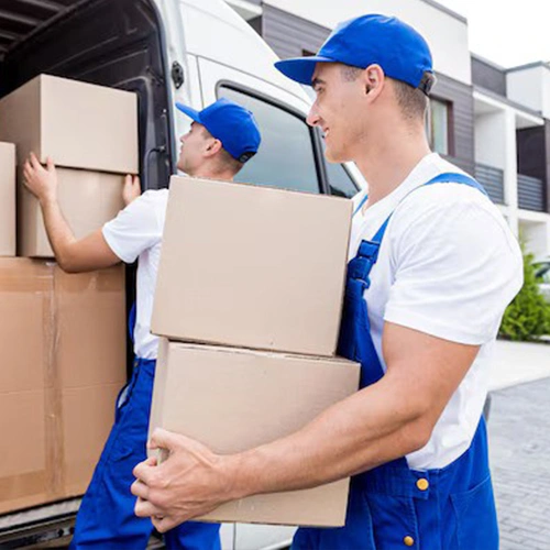 professional movers holding boxes